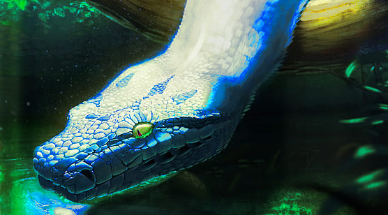 Kostka Xantów - Lodowy Wąż